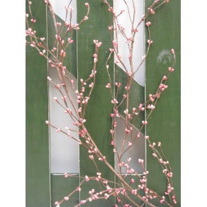 AA Floral Designs Mushberry Garland AAFD1031